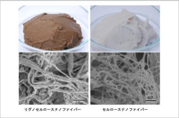 パルプ由来セルロースナノファイバー